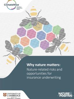 why_nature_matters_cambridge institute for sustainability leadership
