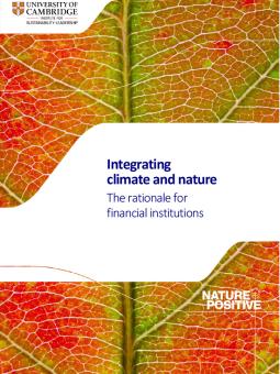 integrating_climate_and_nature_the_rationale_for_financial_institutions_cisl
