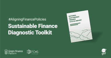 Sustainable Finance Diagnostic Toolkit